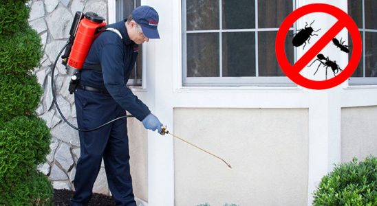 Kırkağaç Kene İlaçlama böcek ilaçlama ve haşere kontrolü — ilaclama-tr.com